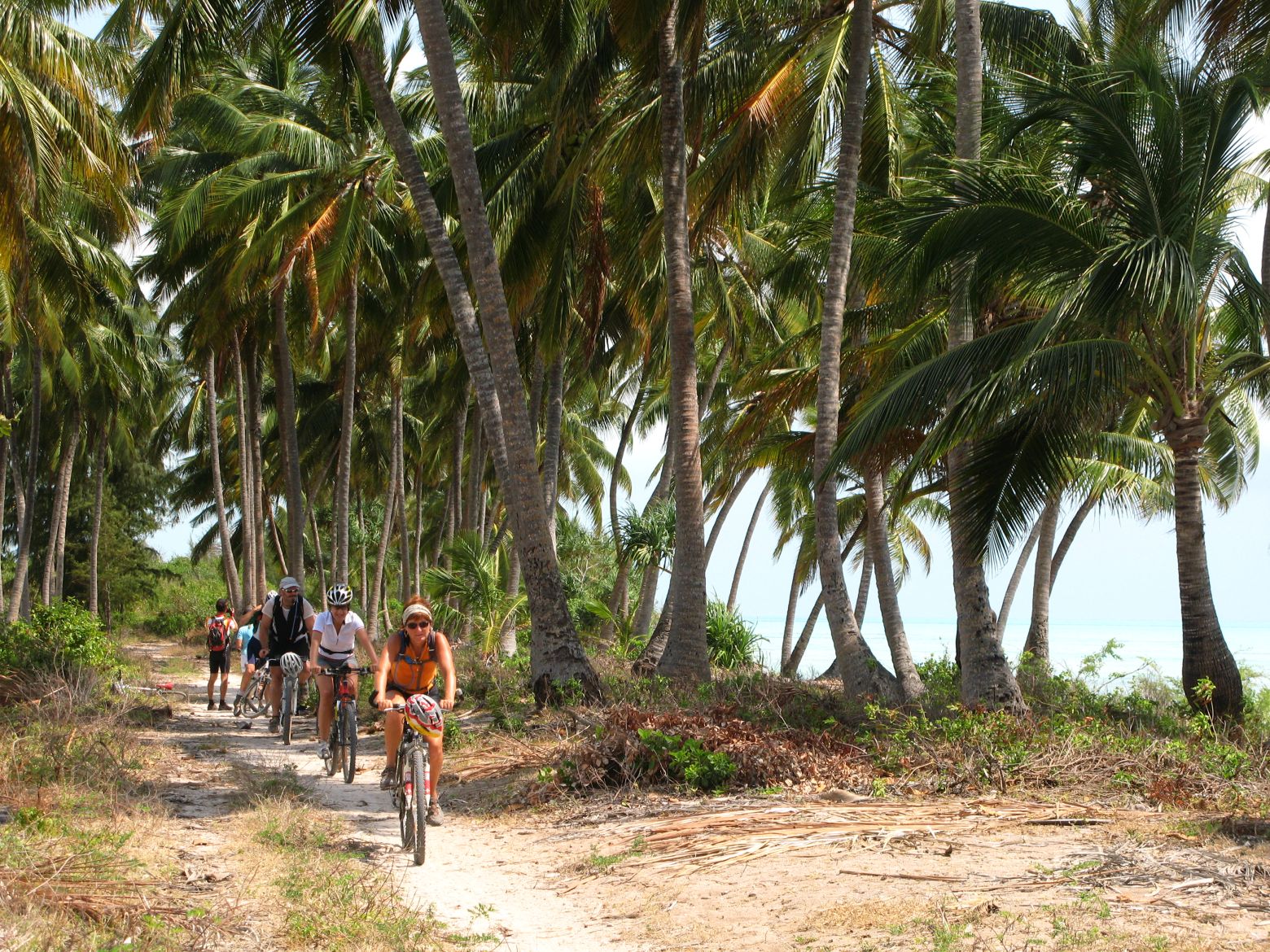 Clicca per ingrandire l'immagine