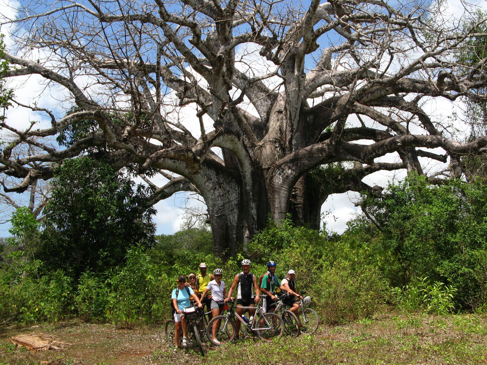 Clicca per ingrandire l'immagine