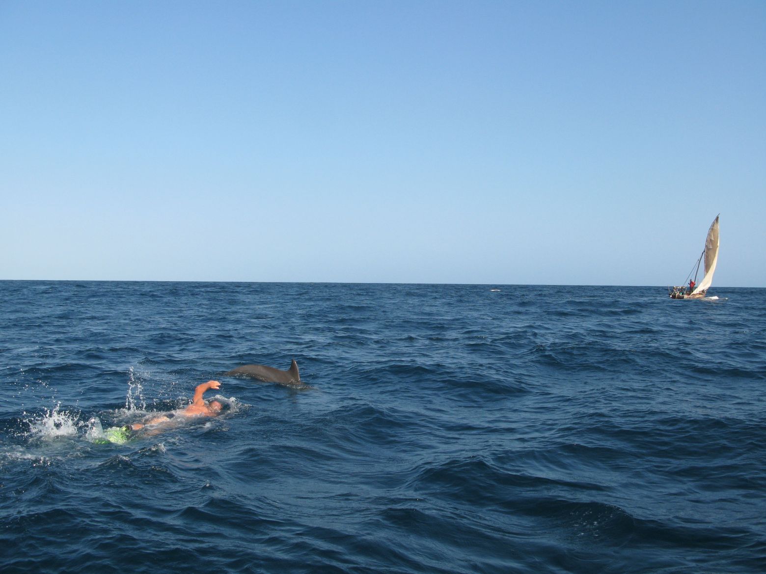 Clicca per ingrandire l'immagine