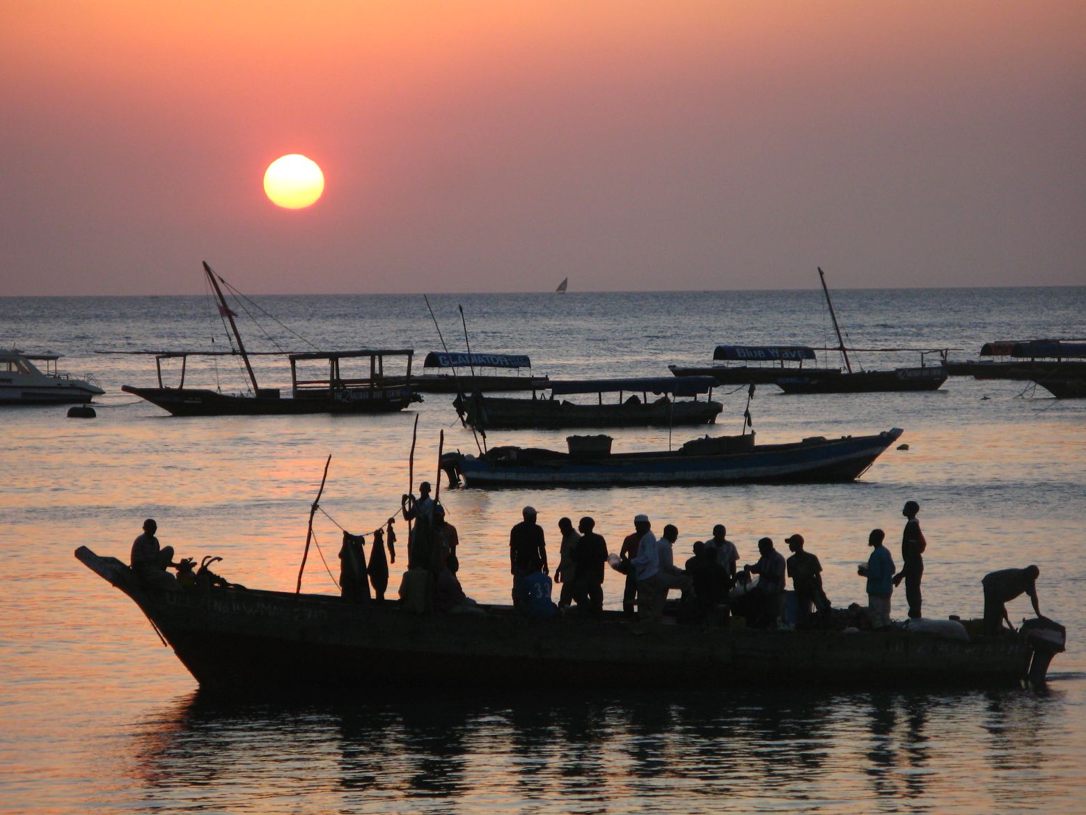 Clicca per ingrandire l'immagine