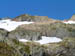 Stambecchi al Nufenen Pass