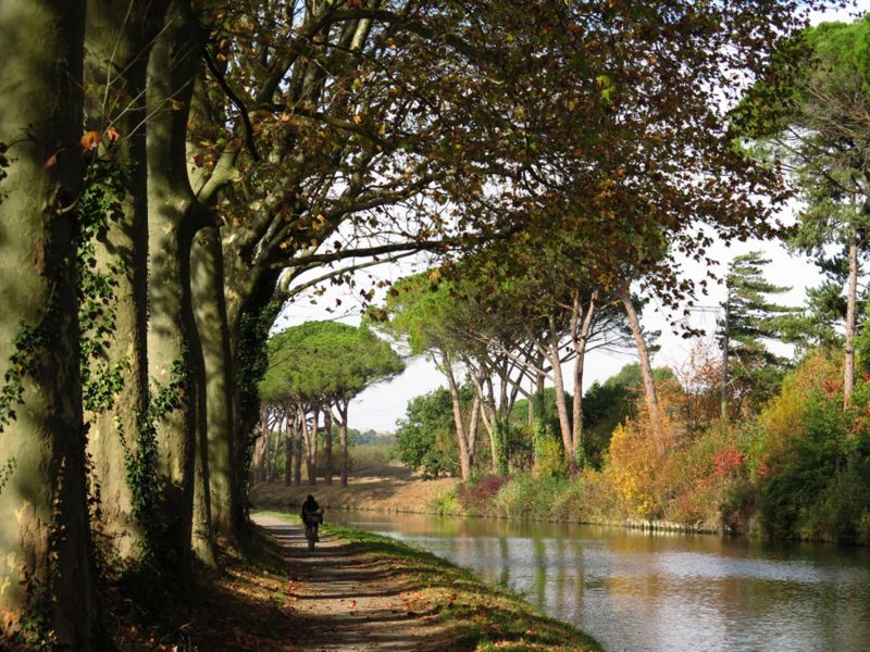 Clicca per la Photo-Gallery