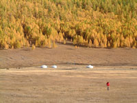 Tipico panorama in Mongolia