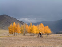 Colori autunnali nei pressi di Jargalant