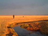 Tramonto nella prateria