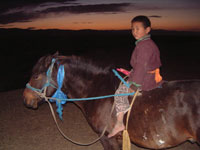 Pastorello al tramonto