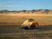 Notte nella prateria