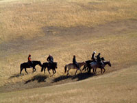 A cavallo nell'Hustai National Park