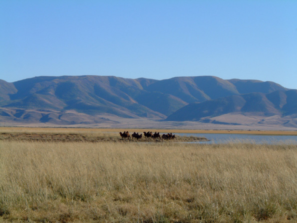mongolia030