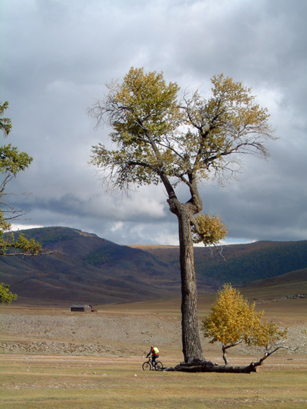mongolia221