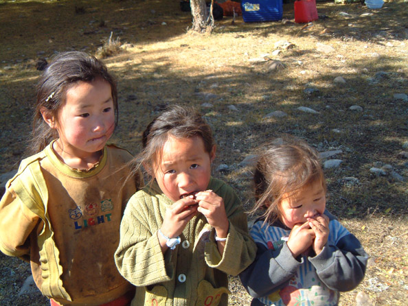 mongolia247