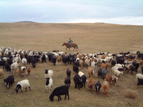 mongolia289