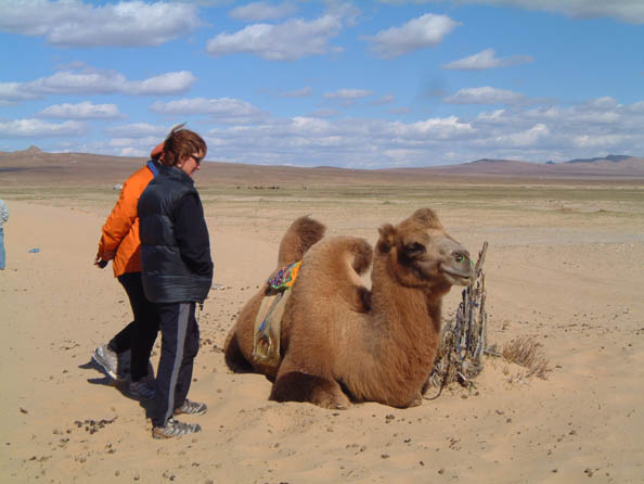 mongolia342