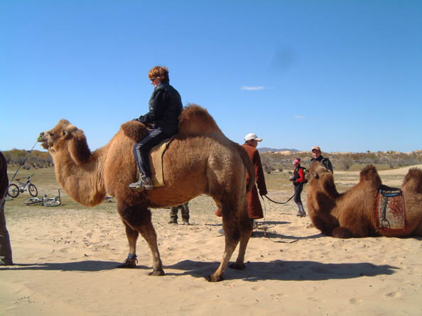mongolia344