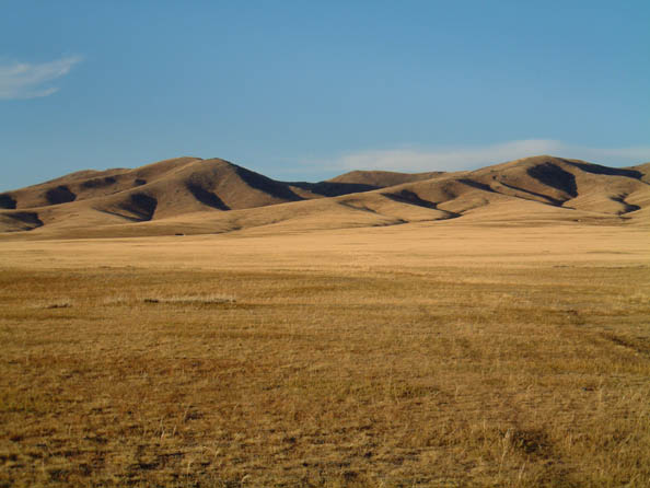 mongolia393