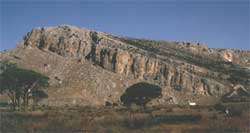 Strophylia in primo piano, Penagia in alto a destra.