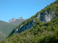 Topos di Galbiate