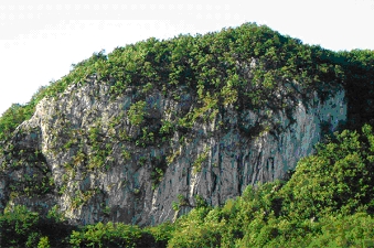 Val Dell'Oro topos