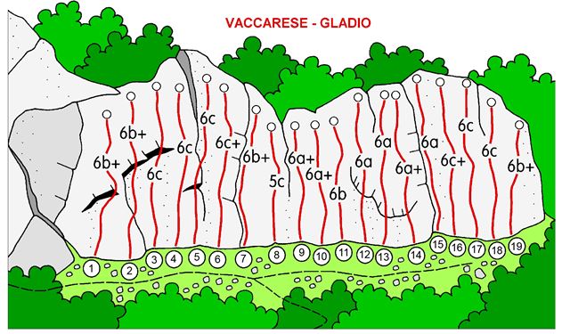 Clicca per la versione stampabile