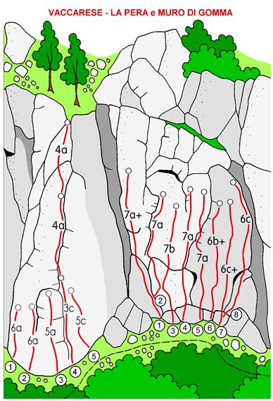 Clicca per la versione stampabile