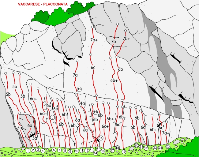 Clicca per la versione stampabile