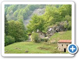 grassitorta10