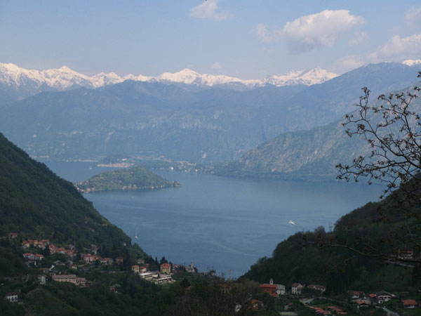 Clicca per ingrandire