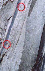 Paolo e Sonja ripresi con il tele in apertura di Galactica