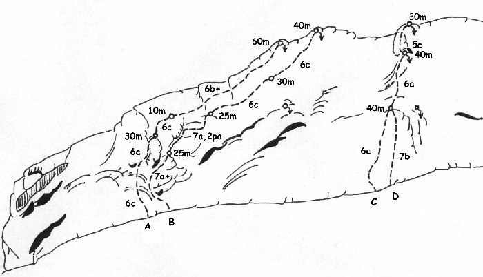 Printable pdf version