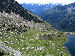 Discesa verso Ponte di Legno