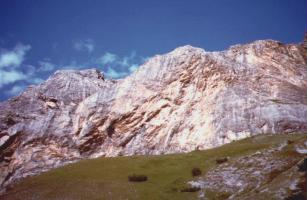 Il Crap delle Fornelle