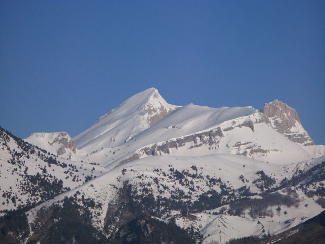 La Tete Des Ormans