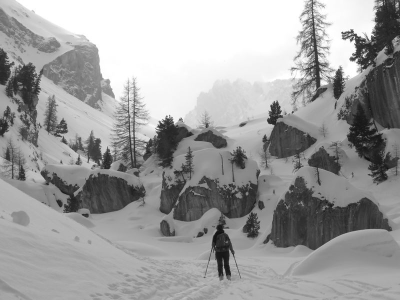 Pic De Chateau Renard