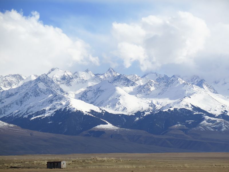 Clicca per ingrandire