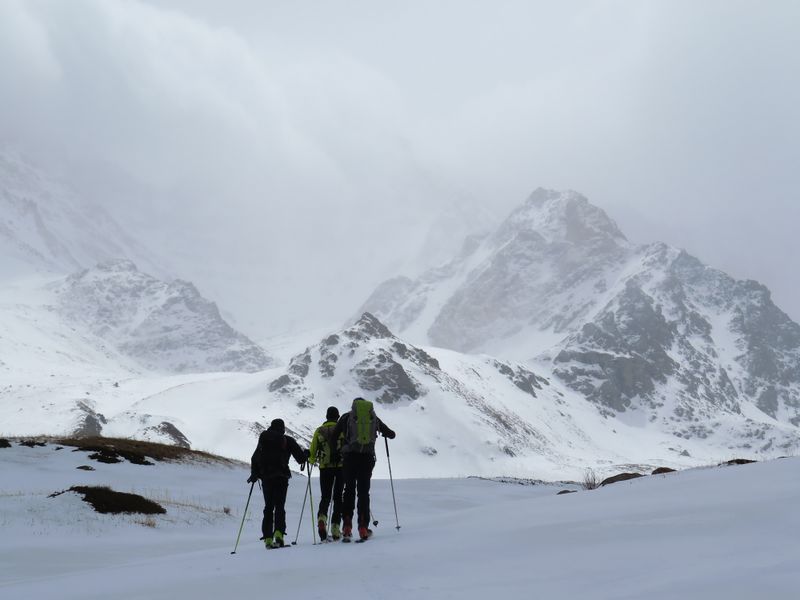 Clicca per ingrandire