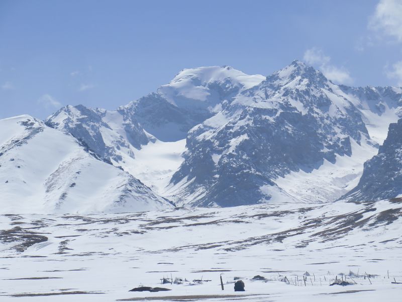 Clicca per ingrandire