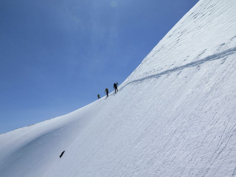 Clicca per ingrandire