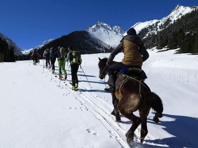 Clicca per ingrandire