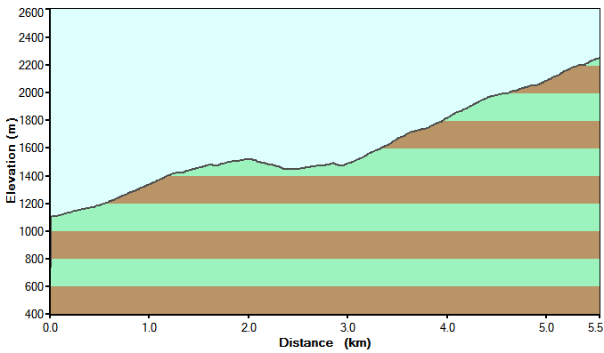 Clicca per ingrandire