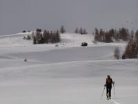 Dal Col Du Festre