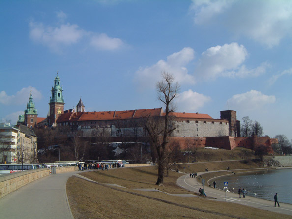 DSCF7894