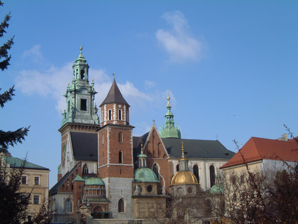 DSCF7900