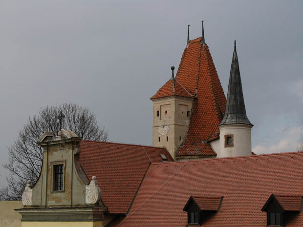 IMG_5360