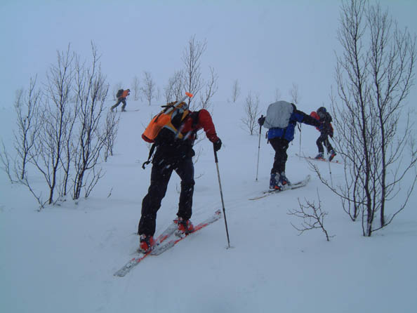 tromso096