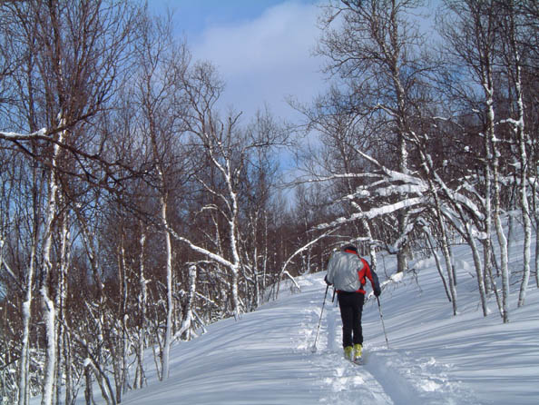 tromso162