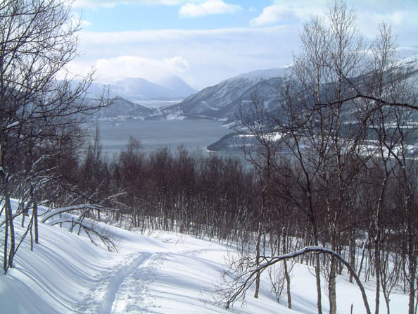 tromso163