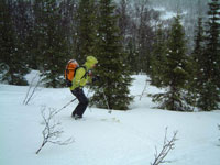 Floya (504m), sopra Tromso