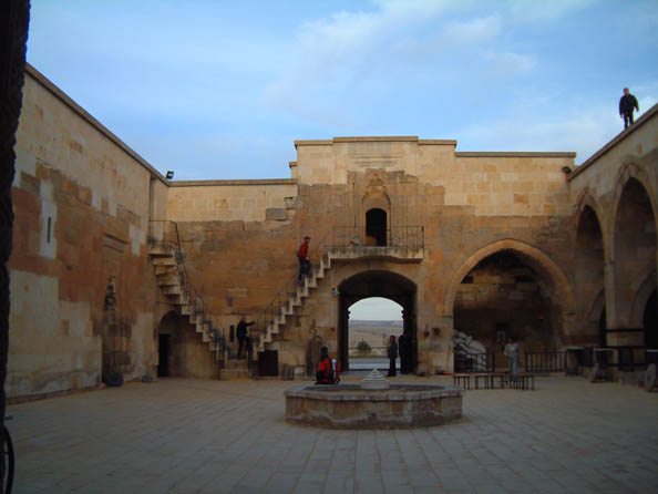 DSCF3531