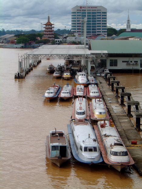 borneo049