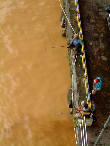 borneo050
